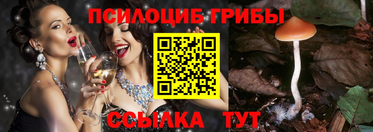 COCAIN  Жуковский  Канабис  Вход с VPN  Мефедрон   Гашиш 