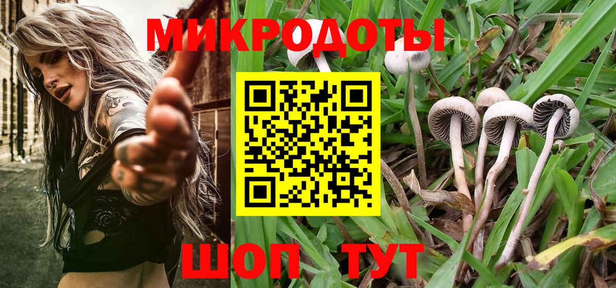 Псилоцибиновые грибы MAGIC MUSHROOMS  Галлюциногенные грибы MAGIC MUSHROOMS  Жуковский  Вход с VPN 