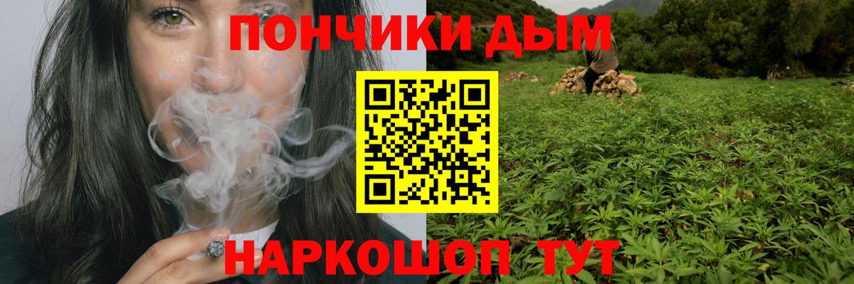 Шишки марихуана марихуана Жуковский